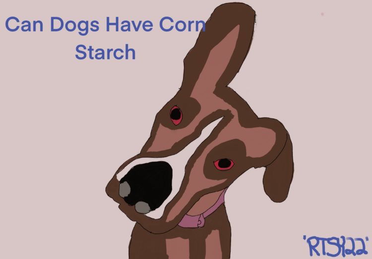 Can Dogs Have Corn Starch