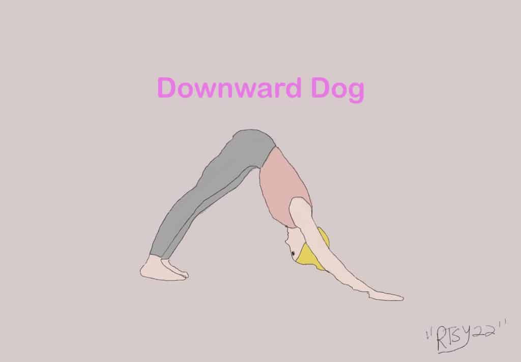 Downward Dog