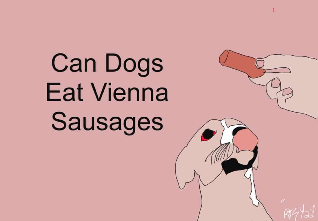 can dogs eat Vienna sausages