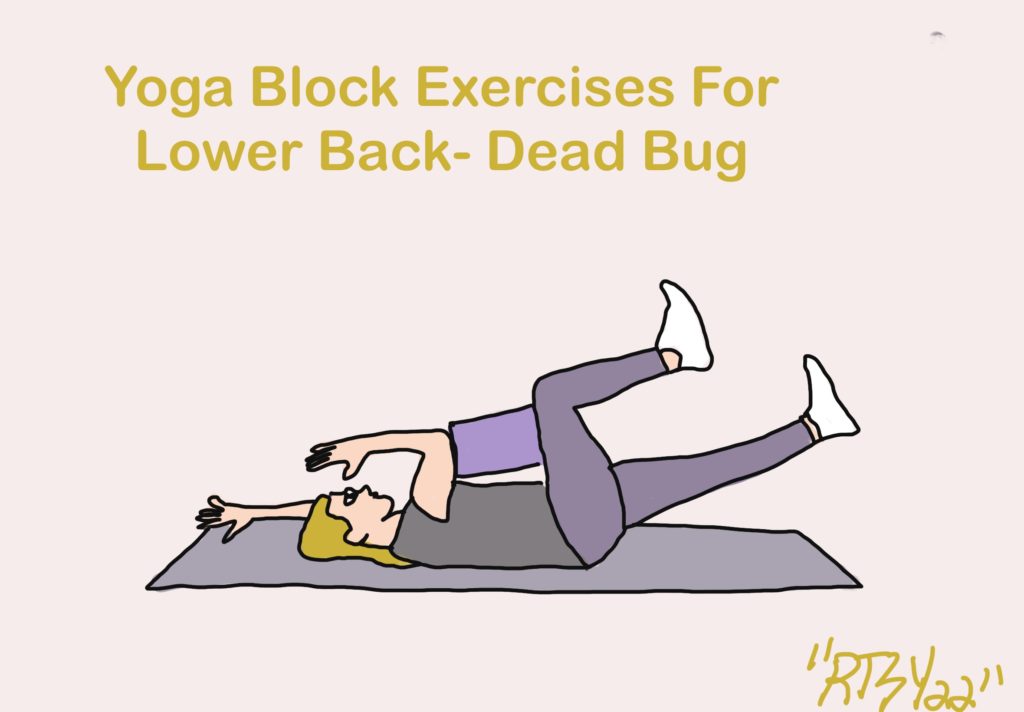 Yoga Block Exercises For Lower Back -Dead Bug