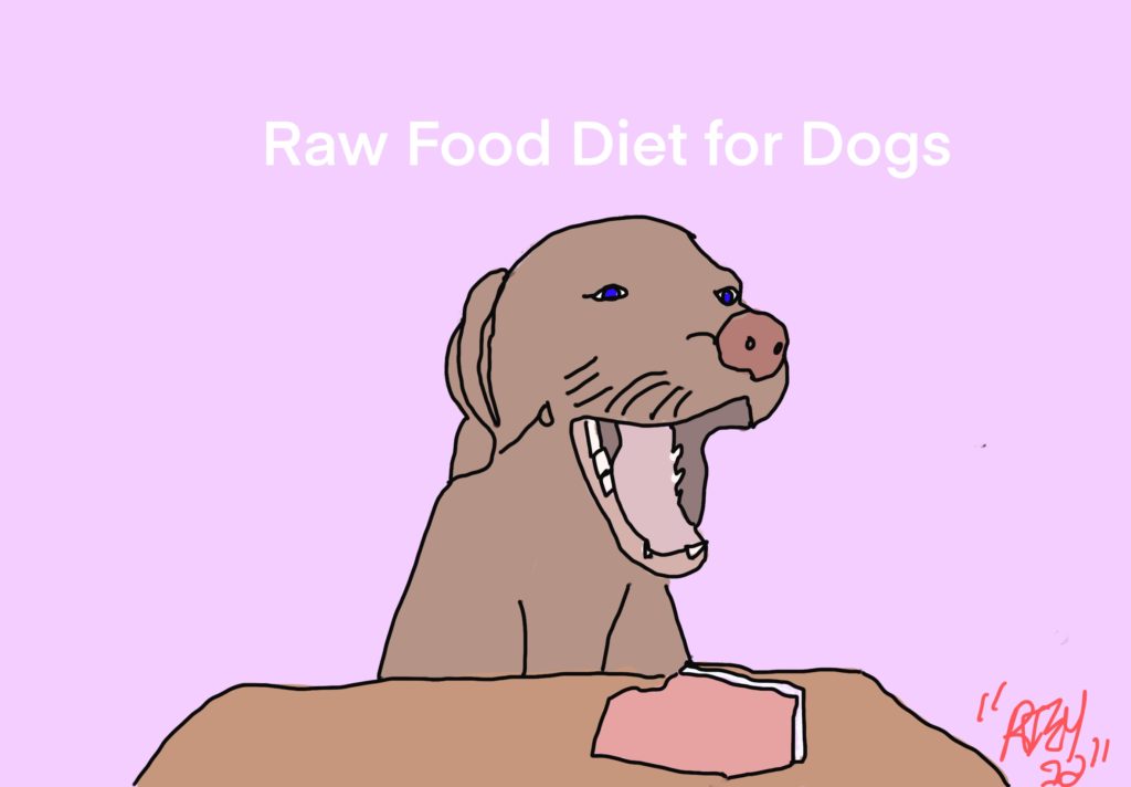 Raw Food Diet for Dogs
