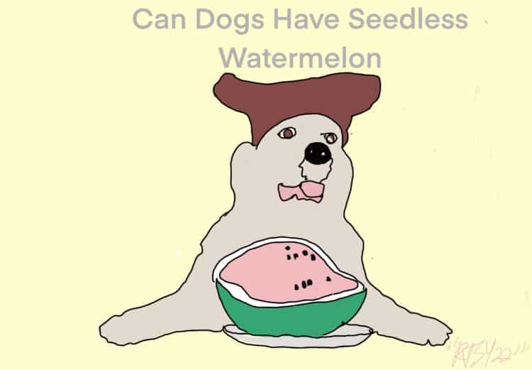 Can Dogs Have Seedless Watermelon
