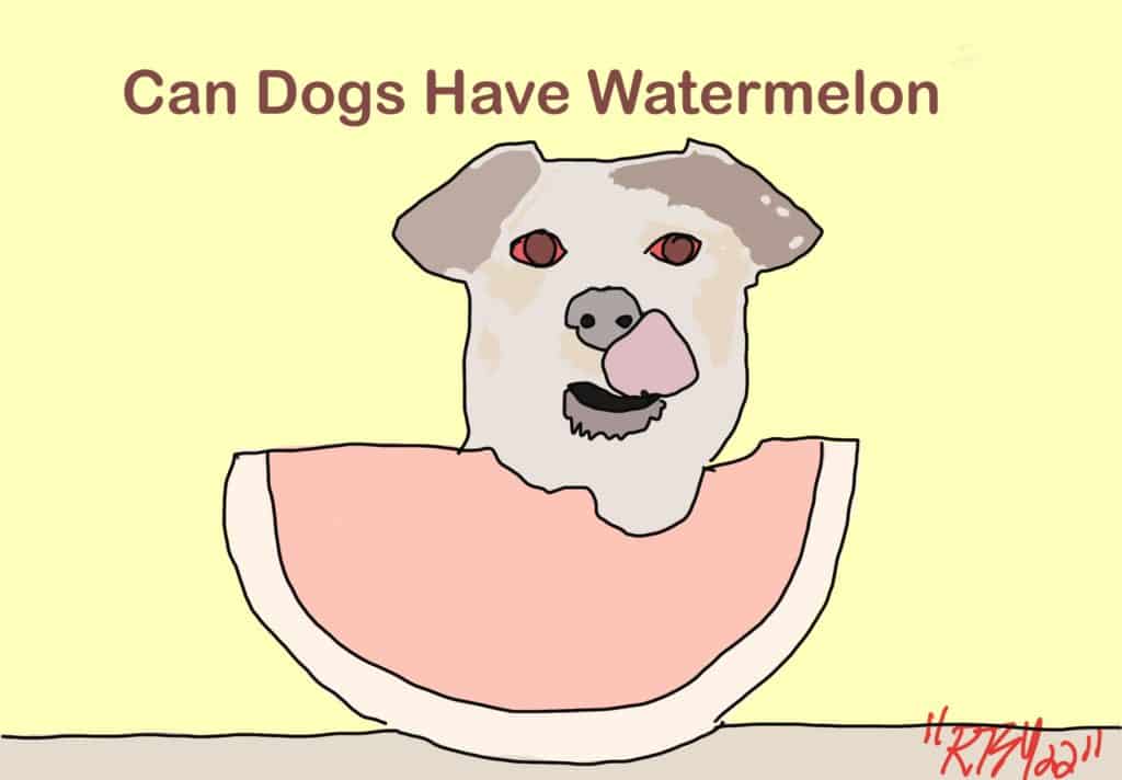 Can Dogs Have Watermelon