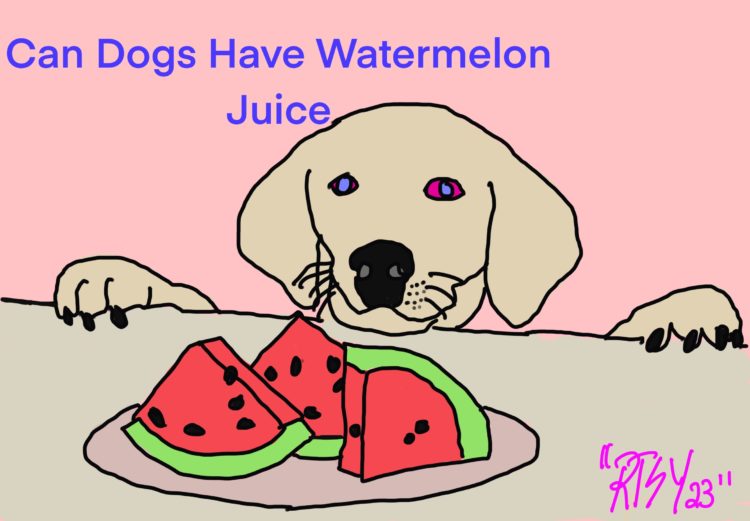 Can Dogs Have Watermelon Juice