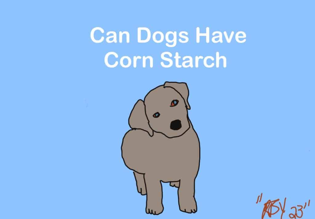 Can dogs have corn Starch