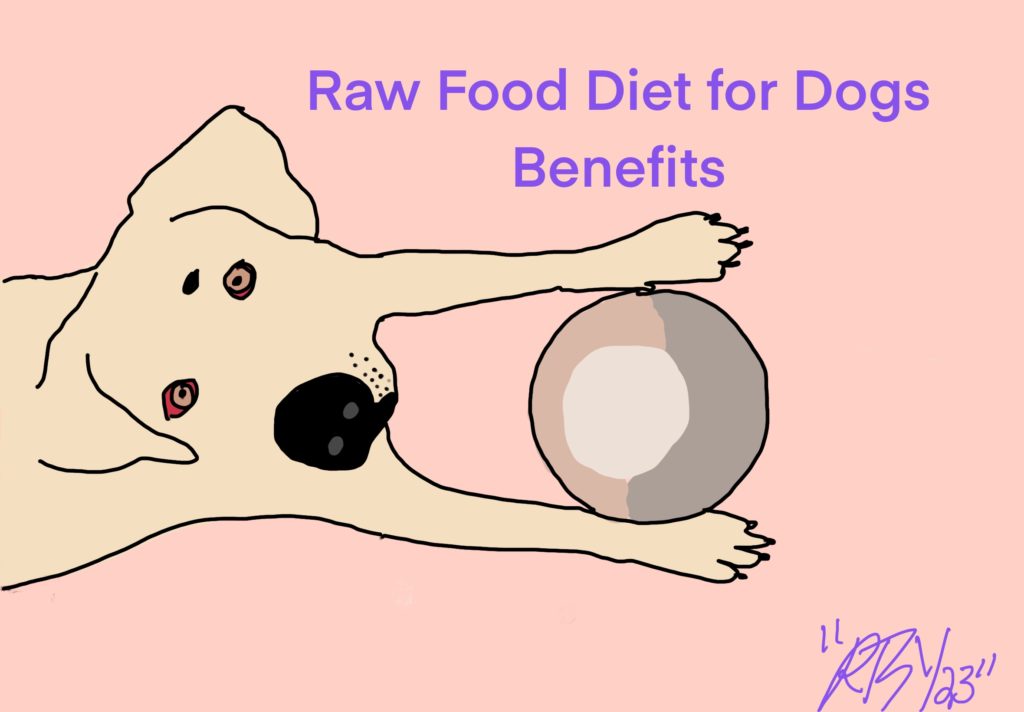 Raw Food Diet for Dogs Benefits