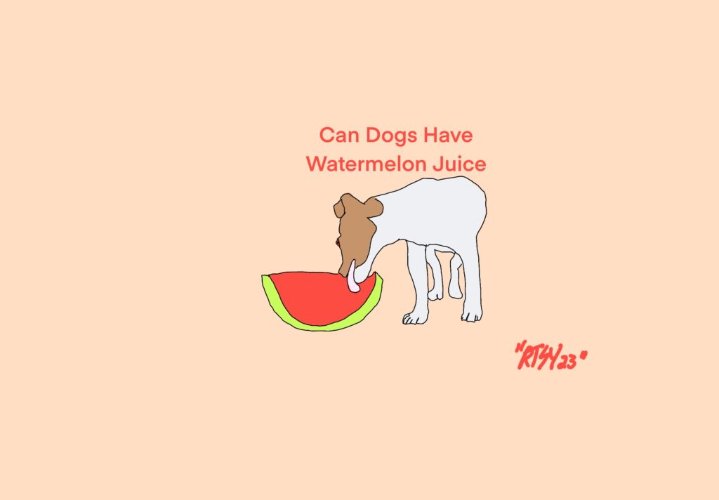 Can Dogs Have Watermelon Juice