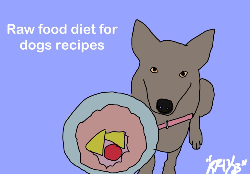 Raw Food Diet Plan for Dogs
