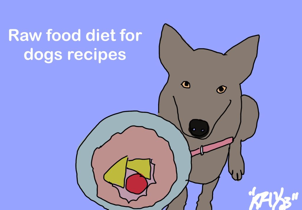 Raw Food Diet Plan For Dogs
