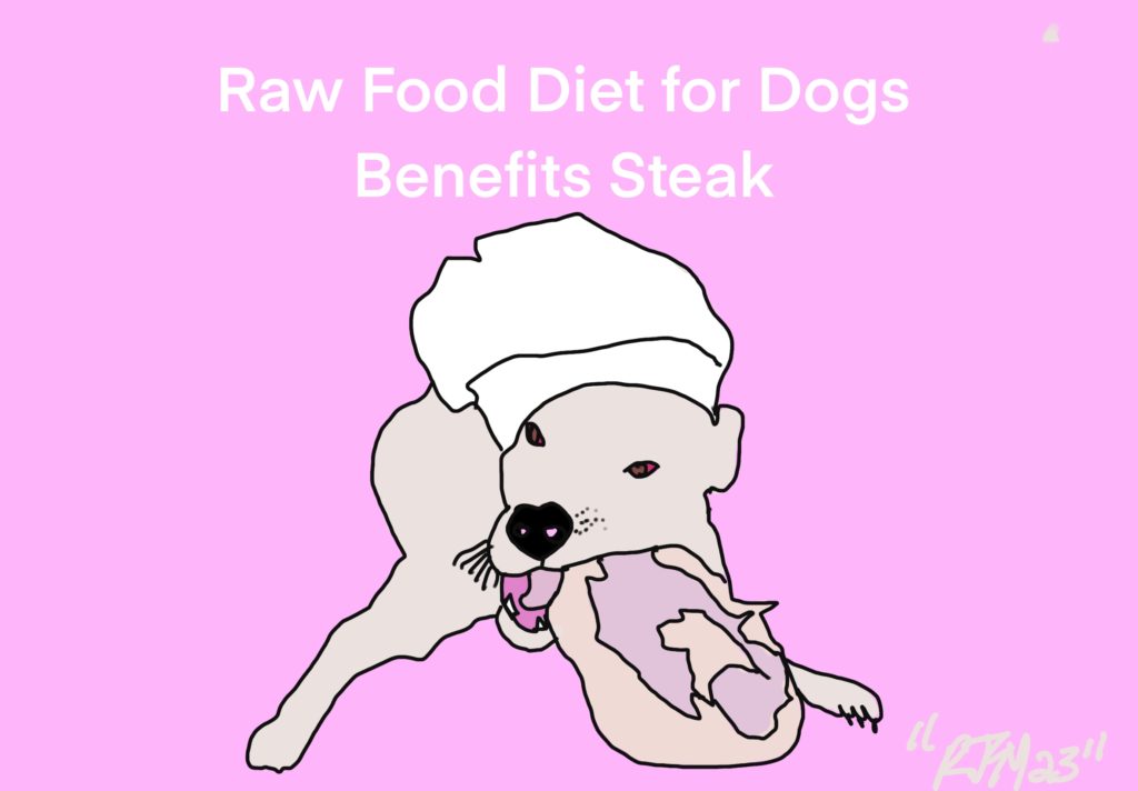 Raw Food Diet for Dogs Benefits