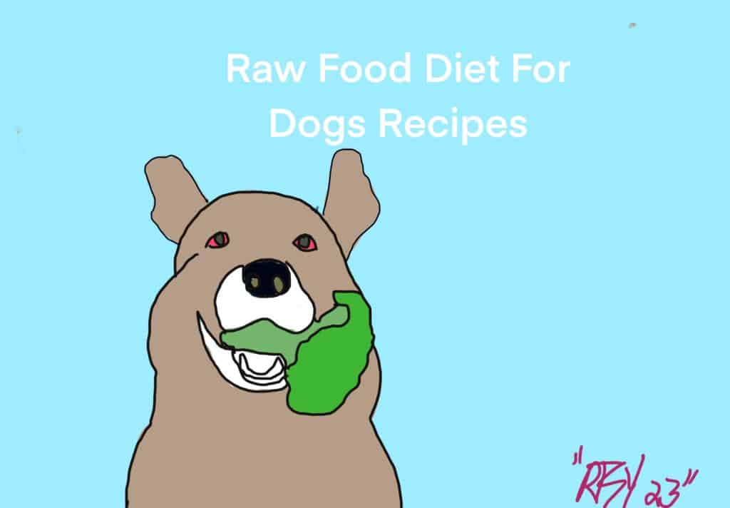 Raw Food Diet For Dogs Recipes