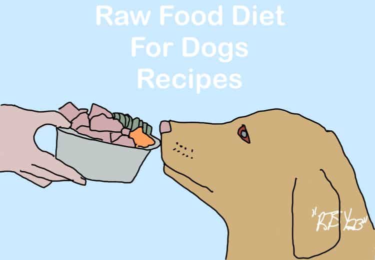 Raw Food Diet For Dogs Recipes