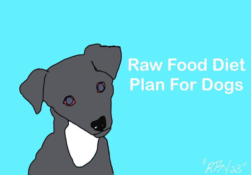 Meal plan raw food diet for dogs