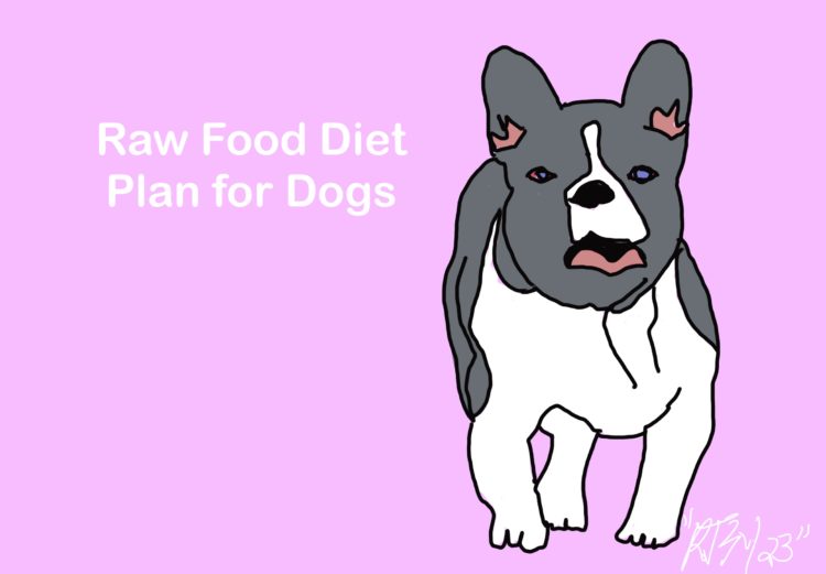 Raw Food Diet Plans for Dogs