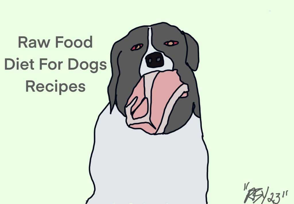 Raw Food Diet For Dogs Recipes