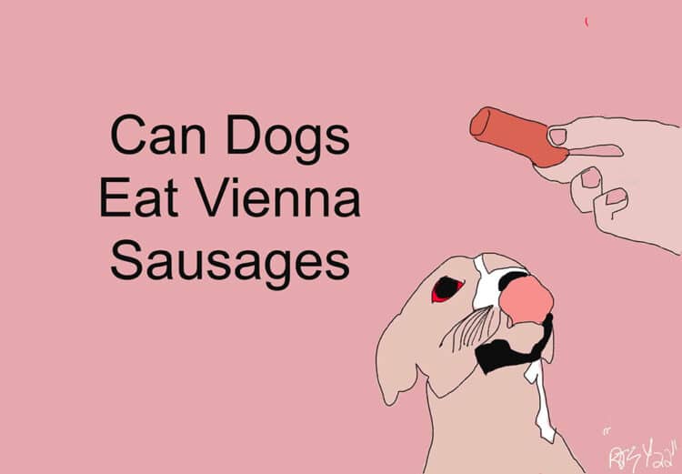 Can dogs eat vienna sausage